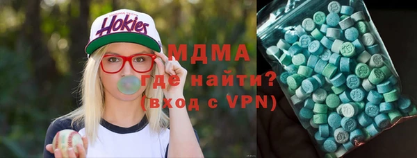 молекула духа Богданович