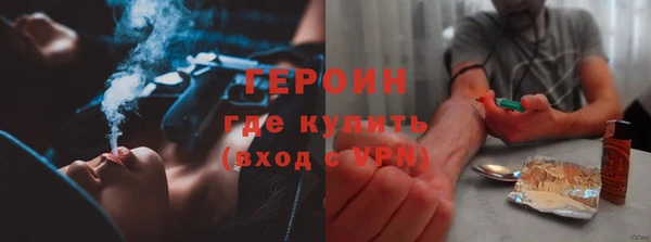 молекула духа Богданович