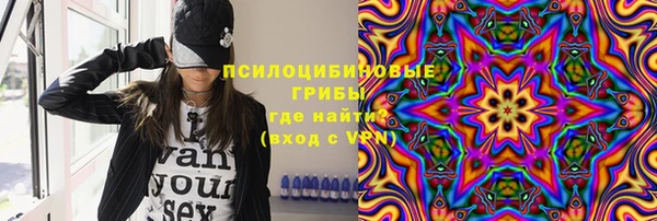 молекула духа Богданович