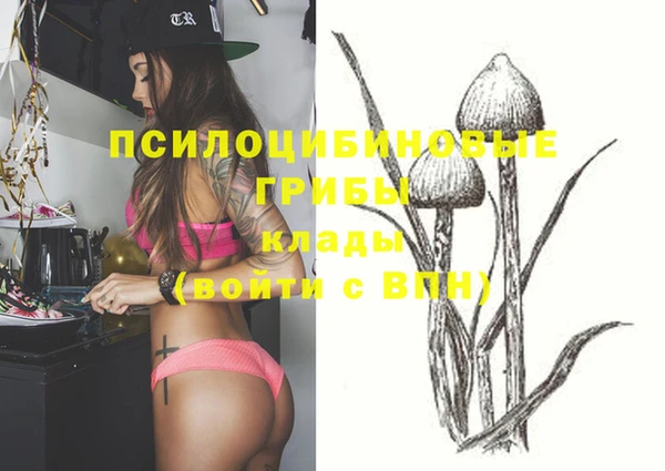 молекула духа Богданович