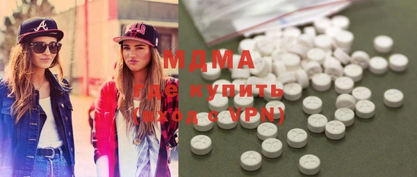 молекула духа Богданович